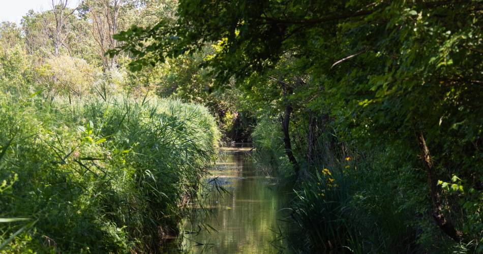 Parcours - Les berges des Sorgues à Bédarrides@Porte du Ventoux Tourisme