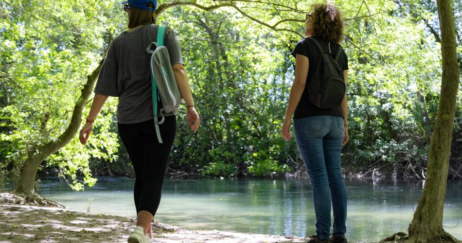 Parcours - Les berges des Sorgues à Bédarrides@Porte du Ventoux Tourisme
