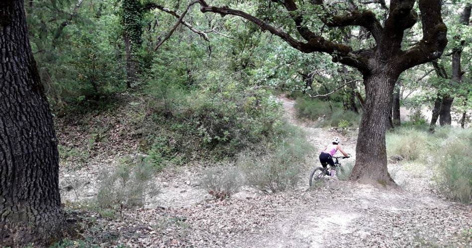 MTB-Tour n°61: Die Ebenen der Provence@© Maison du Parc du Luberon