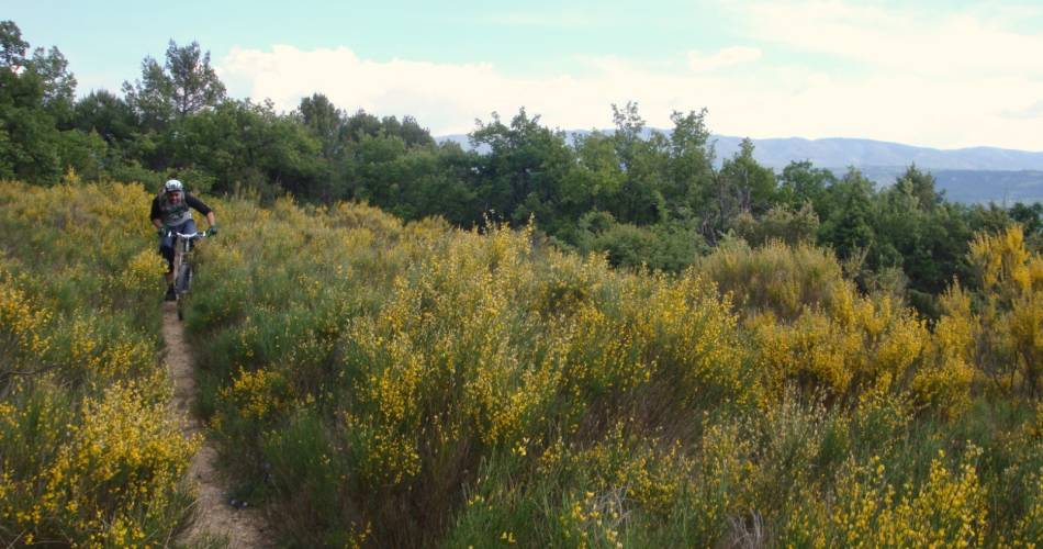 Mountainbikeroute n°57 - Het plateau van Caseneuve@© Maison du Parc du Luberon