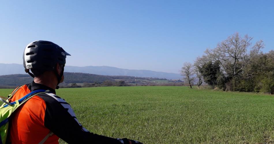 Mountainbikeroute n°57 - Het plateau van Caseneuve@© Maison du Parc du Luberon