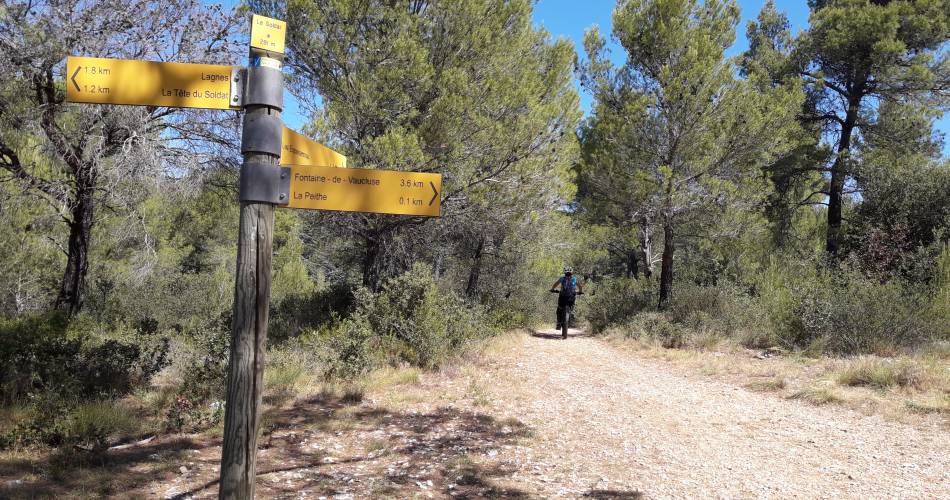 Mountainbikeroute n°9 - Grand Tour du Mur de la Peste - GPS@© Maison du Parc du Luberon