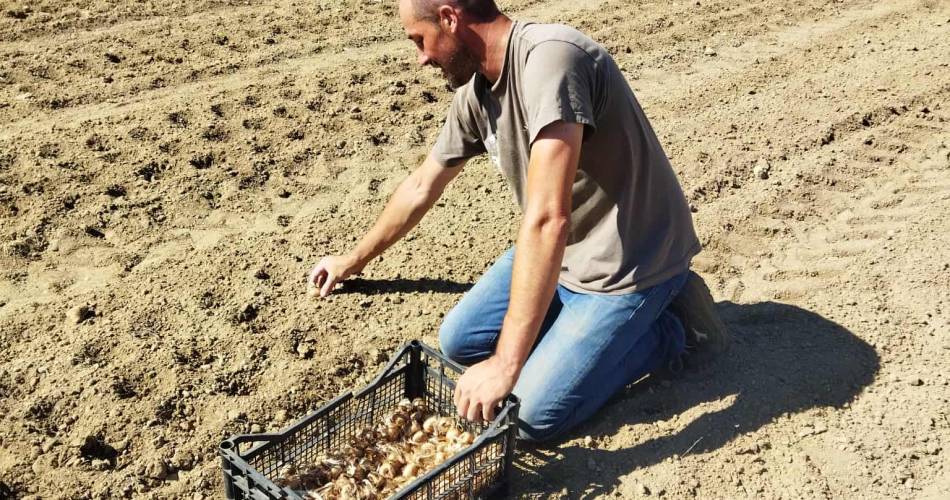 Les Douceurs Du Comtat@Ludwig Hauwelle