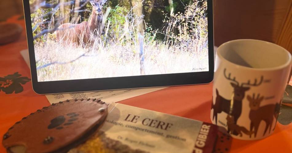 Soirée Brame du Cerf avec Les Chemins de Pierre@Pierre Peyret