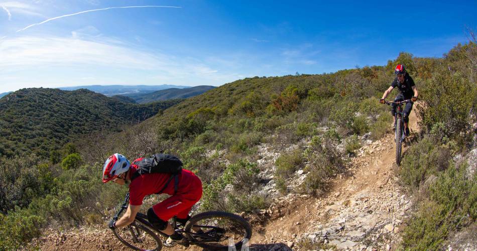 VTT n°35 - Forêt des Cèdres et Tour Philippe@Matthieu Vitré