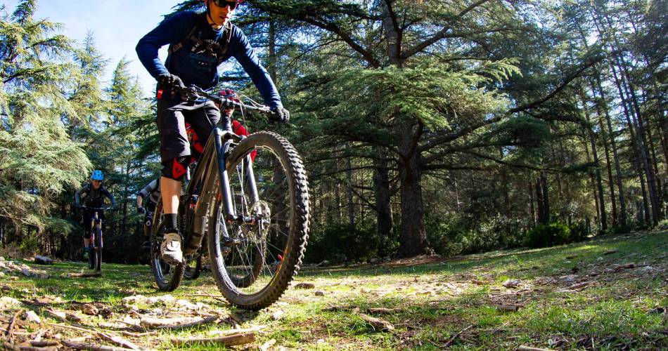 VTT n°35 - Forêt des Cèdres et Tour Philippe@Matthieu Vitré