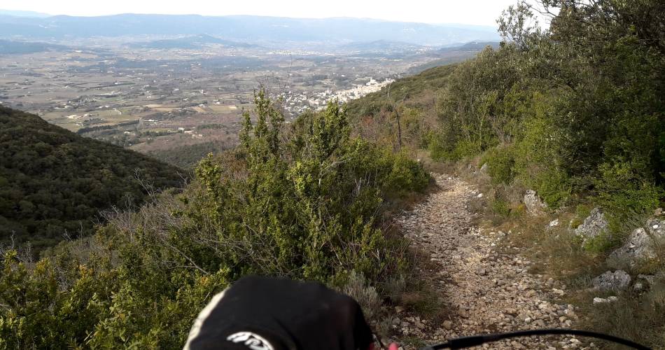 VTT n°35 - Forêt des Cèdres et Tour Philippe@Eric Garnier