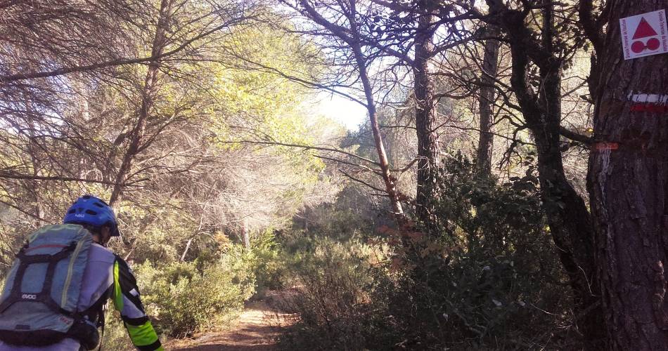 Mountainbikeroute n°37 - Craux du Petit Luberon@Eric Garnier