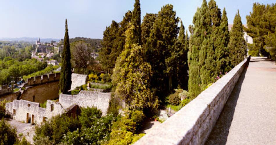 Les jardins remarquables de l'Abbaye Saint-André@@AbbayeSaintAndré