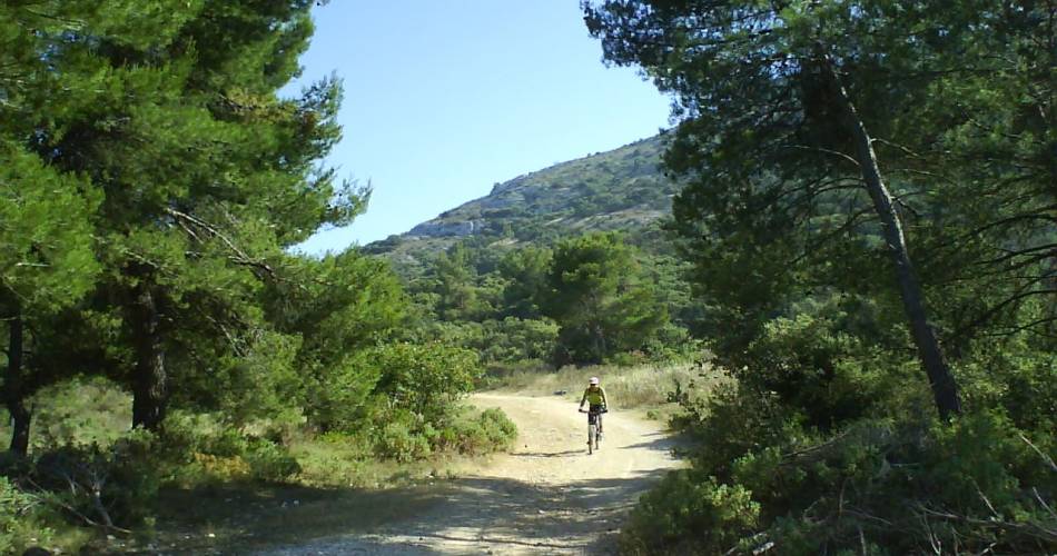 MTB Nr 39 - Piécaud-Hügel@Eric Garnier