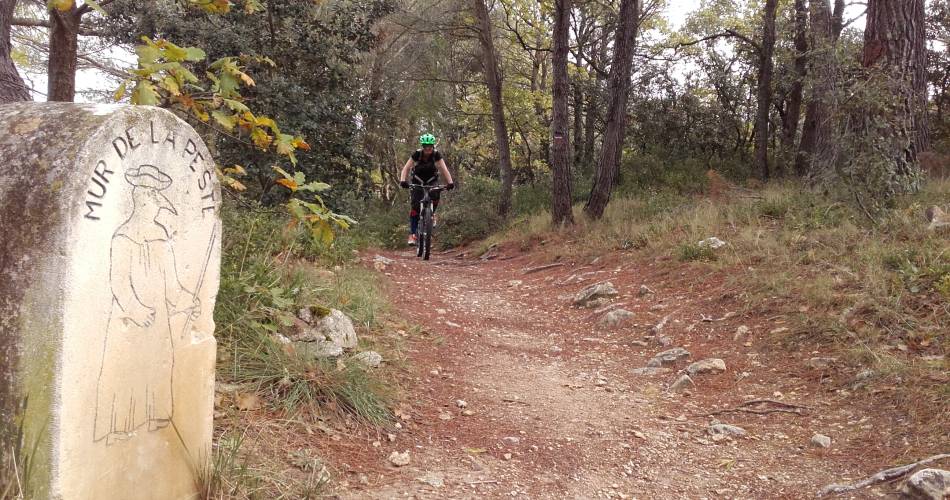 Mountainbikeroute n°42 – Rond de Mur de la Peste@Eric Garnier