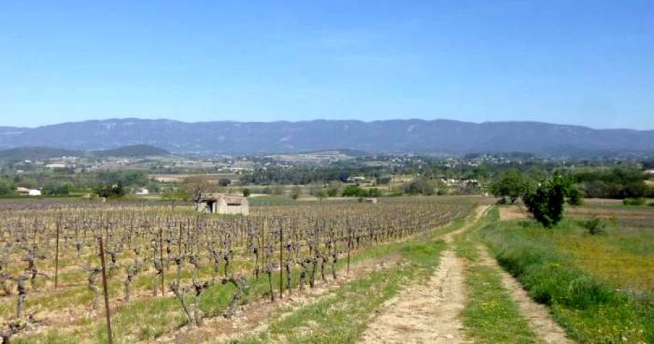 Mountianbikeroute n°28 – Route tussen de wijngaarden@VPA