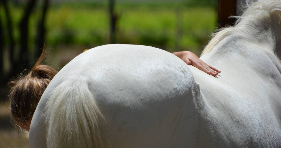 Balade à poney ou cheval avec Lucky Horse@cs