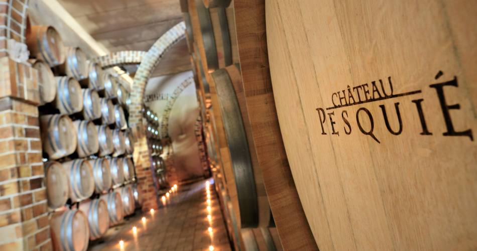 Guided visit of the cellars and tasting at Château Pesquié@Celine Audibert