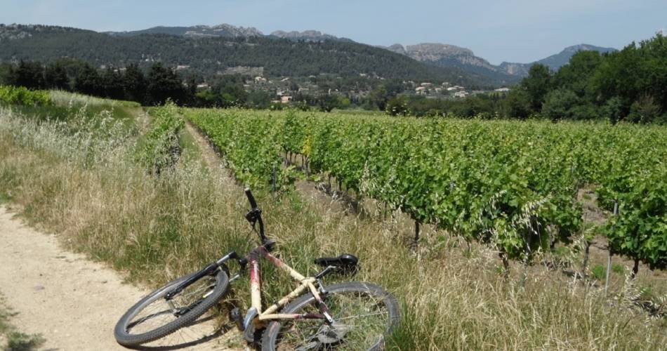Circuit pédestre - Le Plateau de Gargamiane@OTI Ventoux Provence