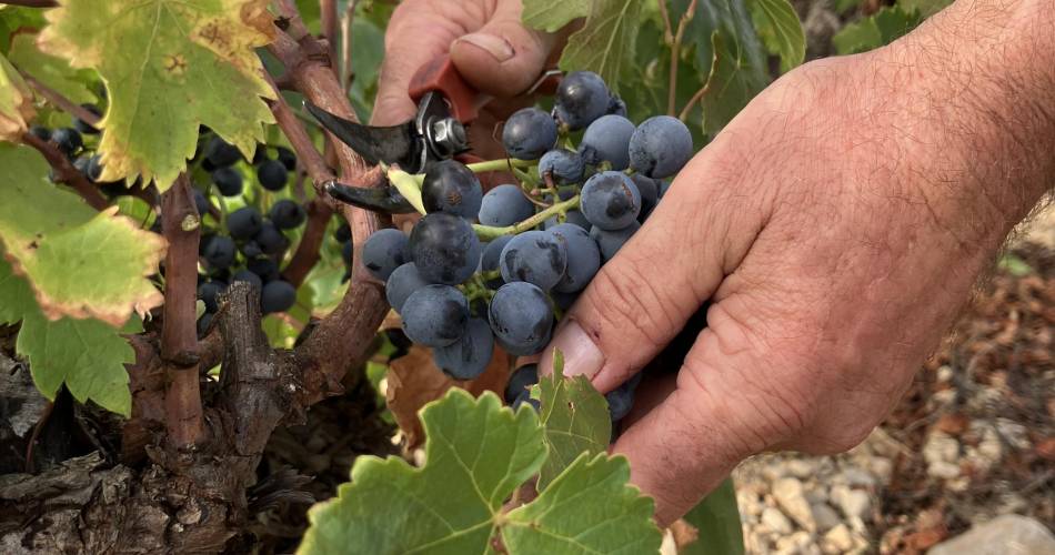 Domaine Des Banquettes@Domaine Des Banquettes