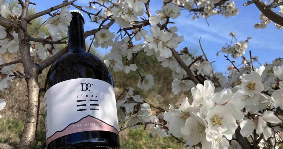 Boc@Brasserie artisanale BOC