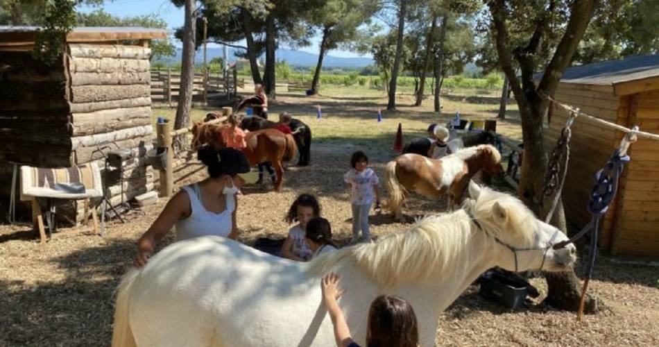 Ferme provençale  LUCKY HORSE : Cheval, nature & bien-être, une autre rencontre du cheval@Lucky Horse