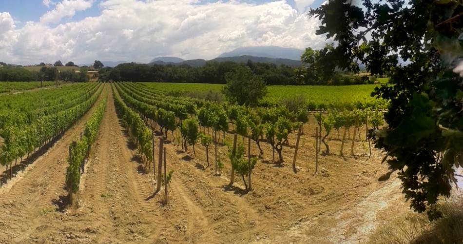 Domaine Terre de Gaulhem@Terre de Gaulhem