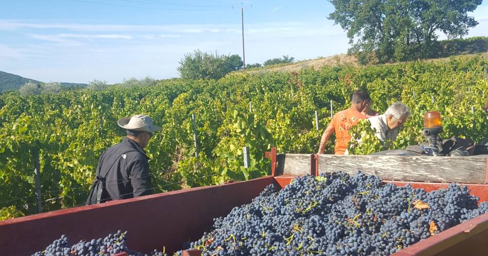 Domaine Terre de Gaulhem@Terre de Gaulhem