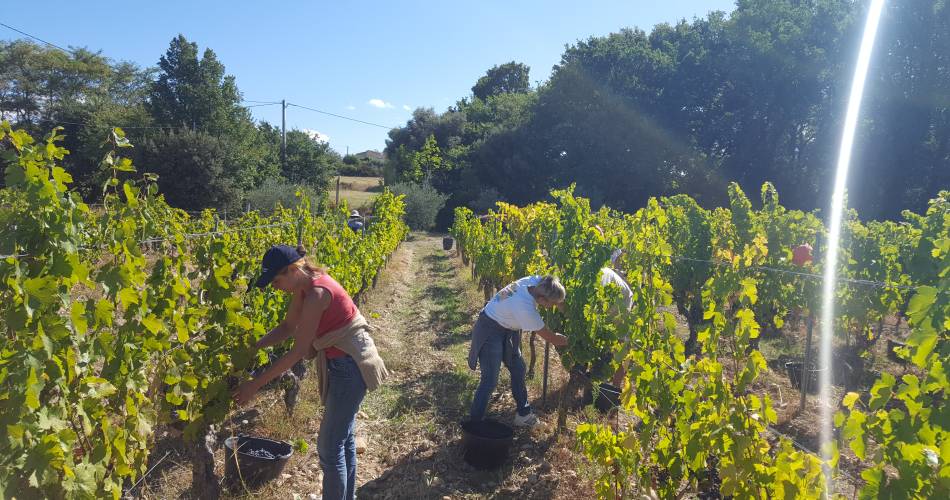 Domaine Terre de Gaulhem@Terre de Gaulhem