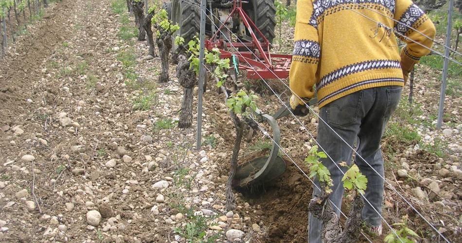 Domaine Terre de Gaulhem@Terre de Gaulhem