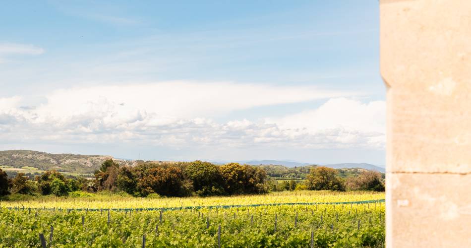 Vignobles des Templiers - Château d'Aiguilhon@Clotilde Arnaud