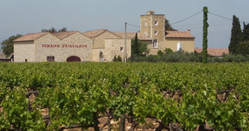 Vignobles des Templiers - Château d'Aiguilhon@@ChateauAiguilhon