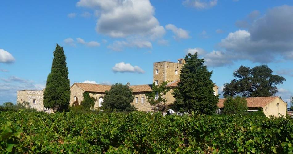 Vignobles des Templiers - Château d'Aiguilhon@Vignobles des Templiers