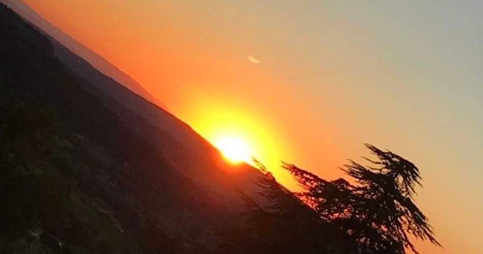 Le Kosy@© Virginie Borde