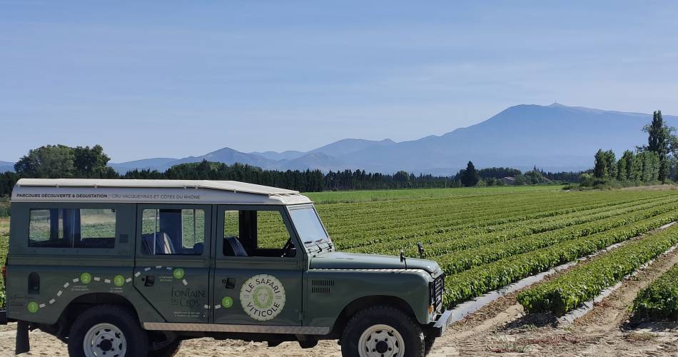 Safari viticole en Land Rover - Domaine Fontaine du Clos@Fontaine du Clos