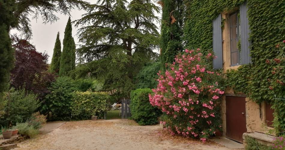 Les Hirondelles - Gîtes Provence et Nature@Mr Semenzin