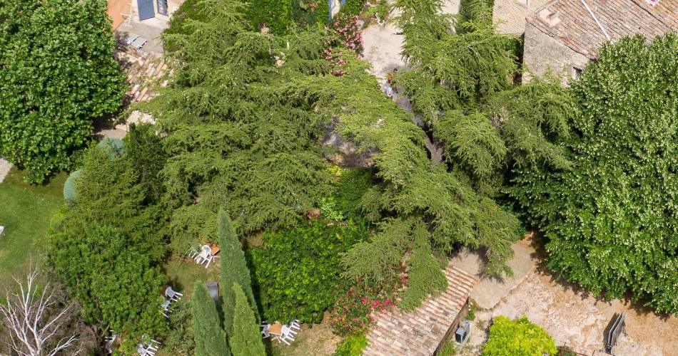 Les Cigales - Gîtes Provence et Nature@Mr Semenzin