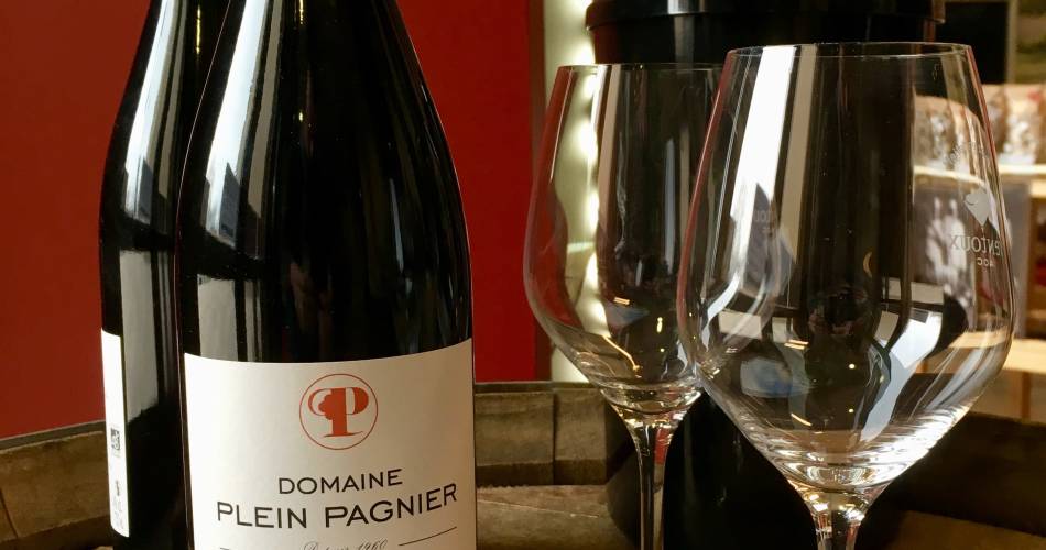 Visite et dégustation vigneronne au Domaine Plein Pagnier@Domaine Plein Pagnier