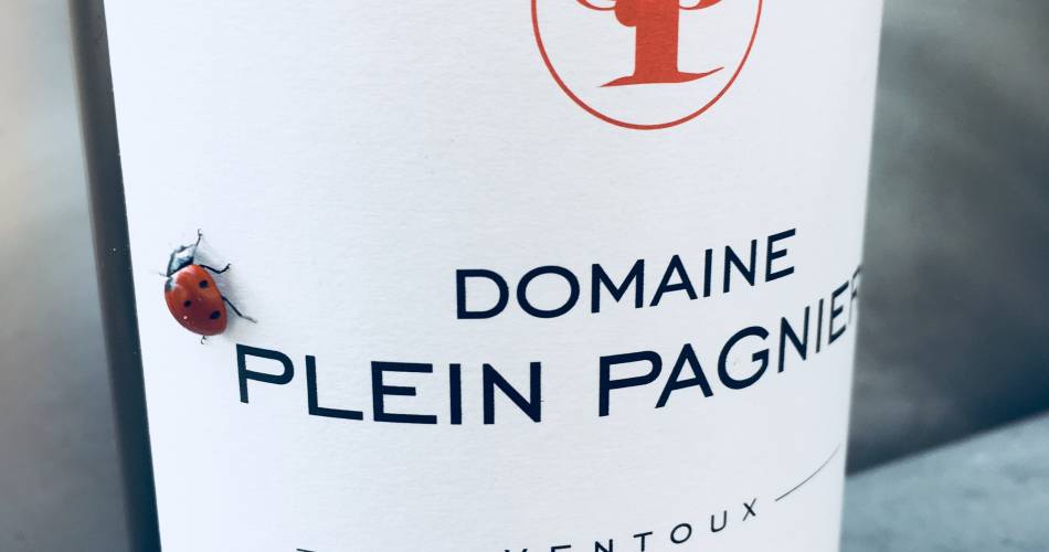 Visite et dégustation vigneronne au Domaine Plein Pagnier@Domaine Plein Pagnier