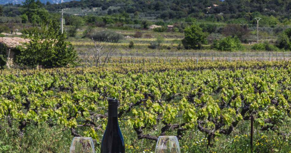 Pique-nique vigneron au Domaine Plein Pagnier@Domaine Plein Pagnier