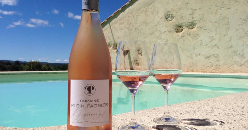 Winegrower picnic at Domaine Plein Pagnier@Domaine Plein Pagnier