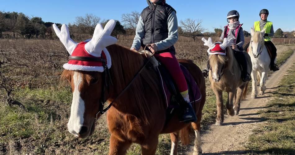 Balade à cheval et à poney avec 
