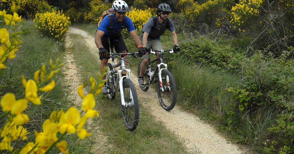 Gravel-bike Dentelles@Alain Hocquel - Vaucluse Tourisme