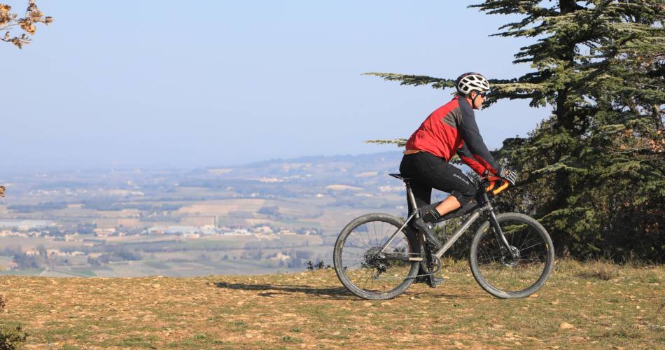 Gravel-bike Antik@Alain Hocquel