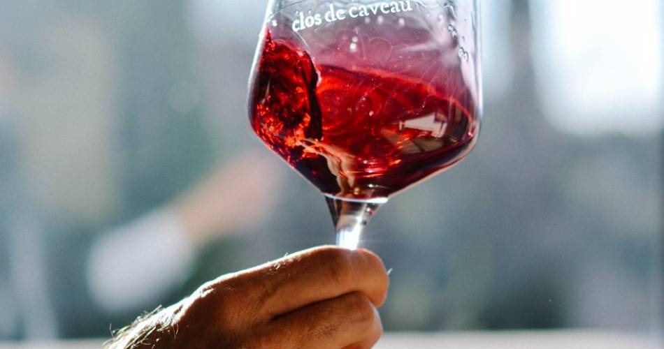 Visite guidée du Clos de Caveau@Clos de Caveau