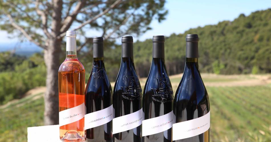 Visite guidée du Clos de Caveau@Clos de Caveau