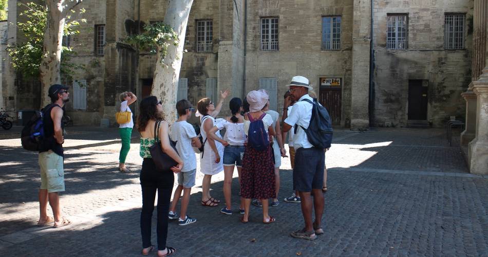 Avignon en un clin d'oeil@©L. Vervaet / Avignon Tourisme
