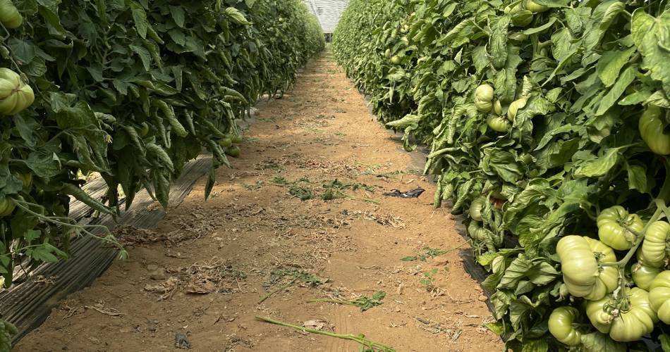 Les Jardins de Maëlis@Jean Denis Rey