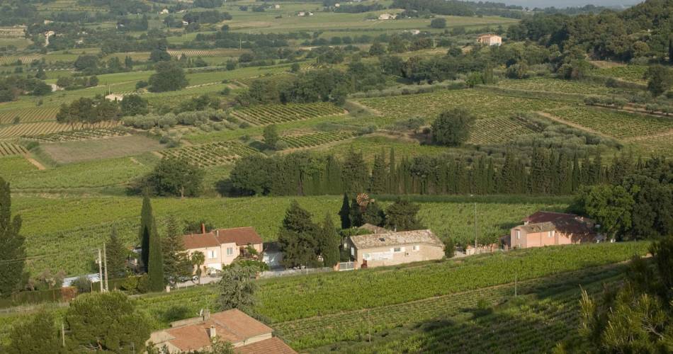 Domaine du Gros Pata@Domaine du Gros Pata