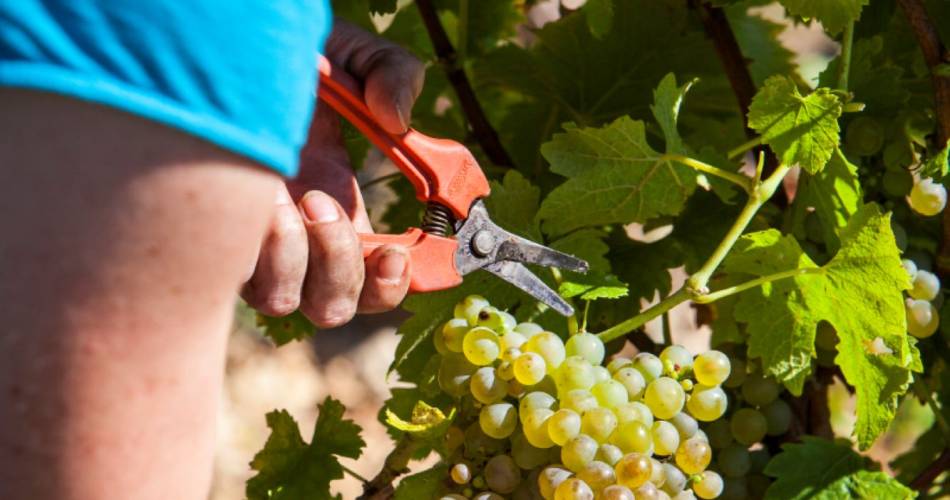 Domaine La Perdrière@Domaine de la Perdrière
