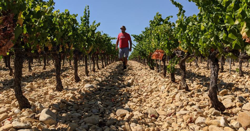 Domaine La Perdrière@Domaine de la Perdrière