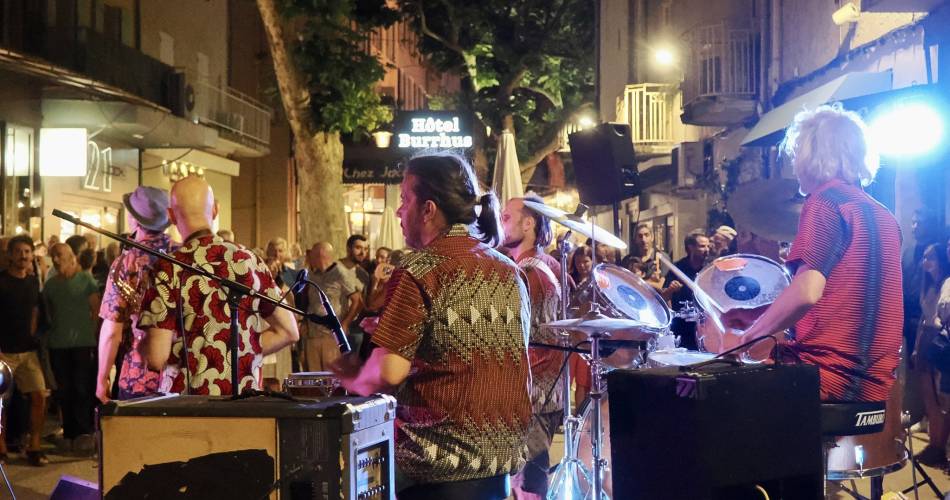 Muziekfeest@Ville de Vaison-la-Romaine