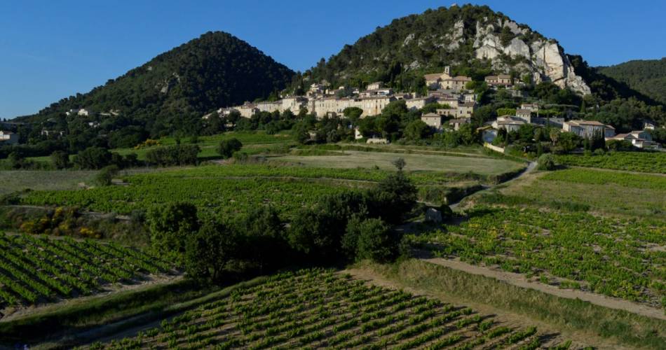 Domaine de l'Amandine@Domaine de l'Amandine