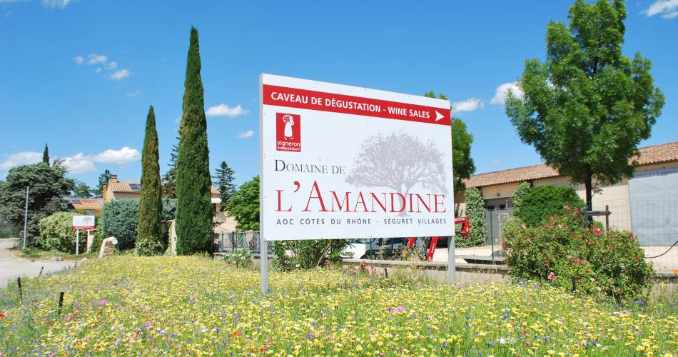 Domaine de l'Amandine@Domaine de l'Amandine